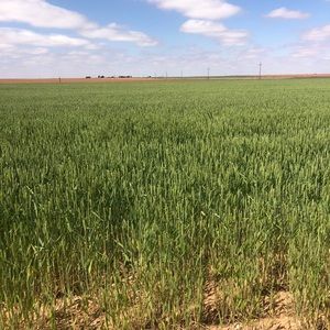 Meet your Posher, Johan